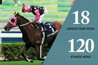 Graduates of the National Yearling Sale Series claimed 18 Group One wins and 120 stakes wins last season alone.